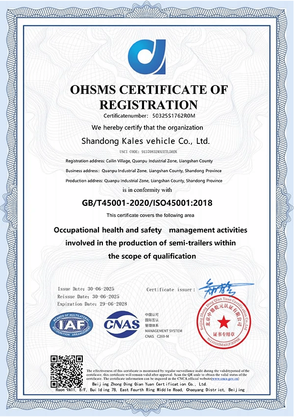 Kales ISO 45001 Certification Certificate