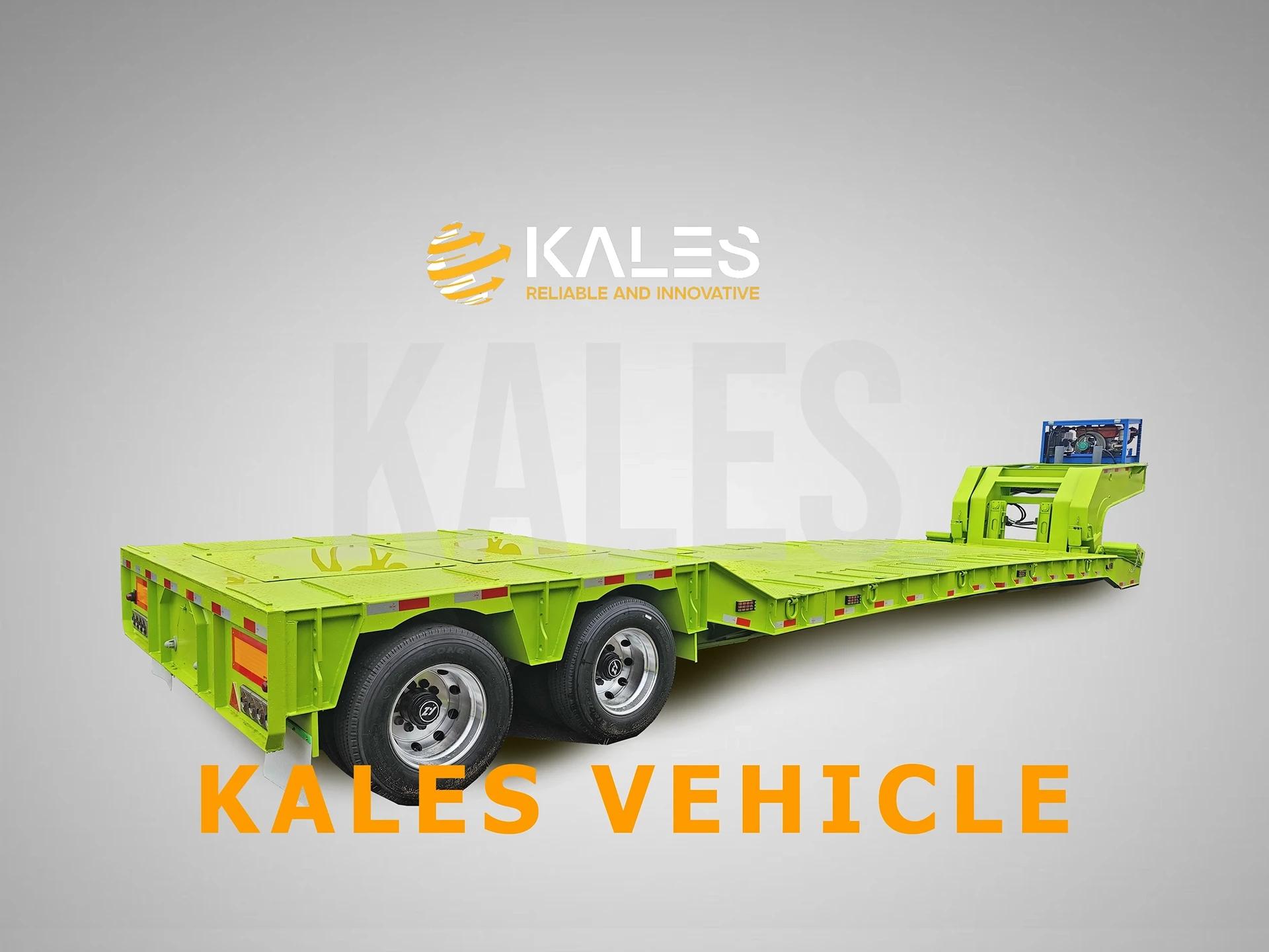 Rear 45-degree angle view of 2-line-4-axle lowboy trailer showing telescopic main beam extension and heavy-duty suspension.