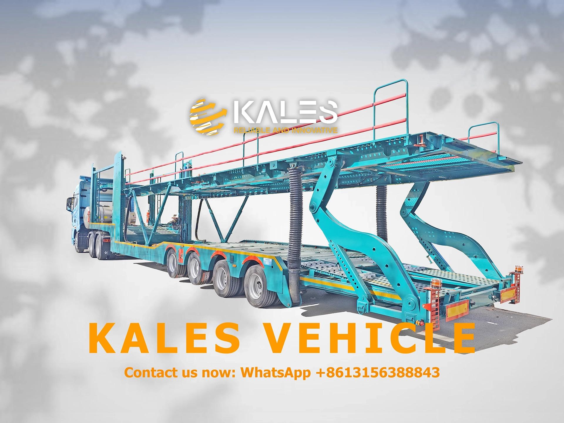 Rear 45-degree view of car carrier showing rear hydraulic lifting cylinder and reinforced mantis arm folding support structure.