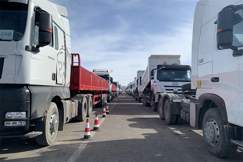 Rows of trucks parked at the kales plant for sale
